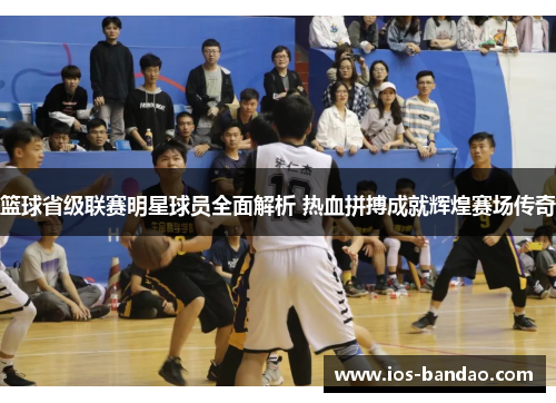 篮球省级联赛明星球员全面解析 热血拼搏成就辉煌赛场传奇