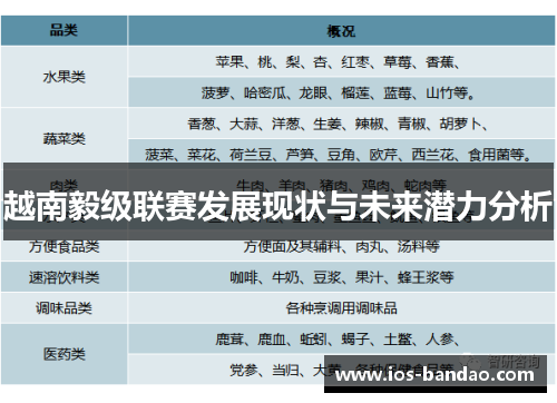 越南毅级联赛发展现状与未来潜力分析