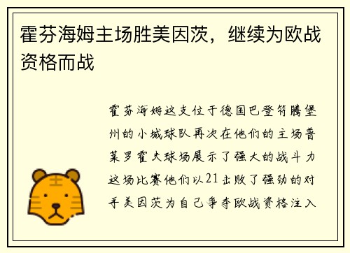 霍芬海姆主场胜美因茨，继续为欧战资格而战